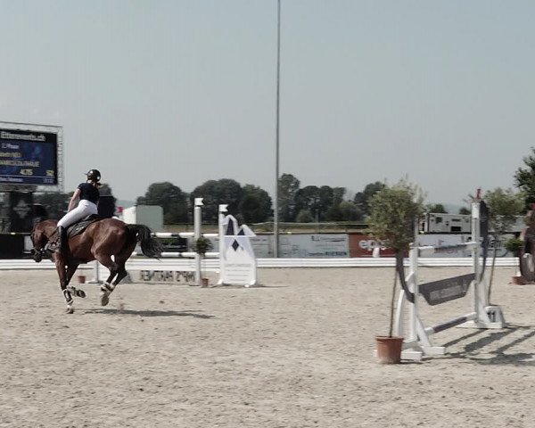 Concours Hippique de Dompierre 2021