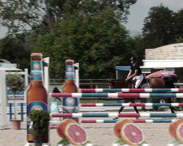 Concours Hippique de Dompierre 2021
