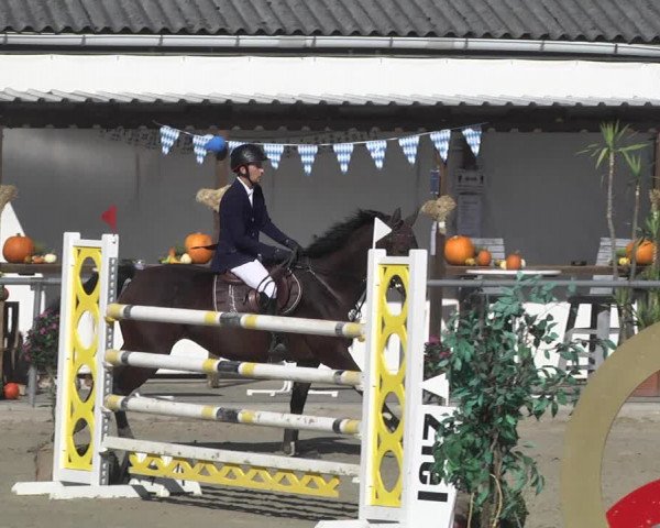 Reitturnier Neunkirchen-City 2021