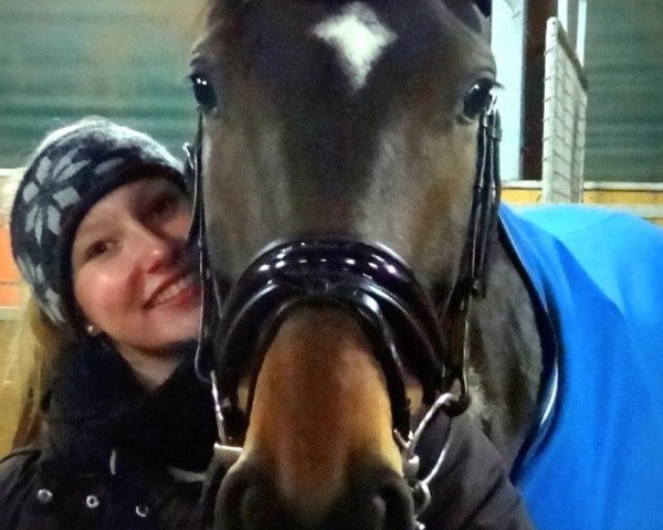 dressage horse Laurie's Lady (Hanoverian, 2008, from Lauries Crusador xx)