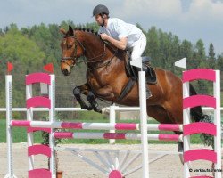 horse Cesar (Czech Warmblood, 2005)