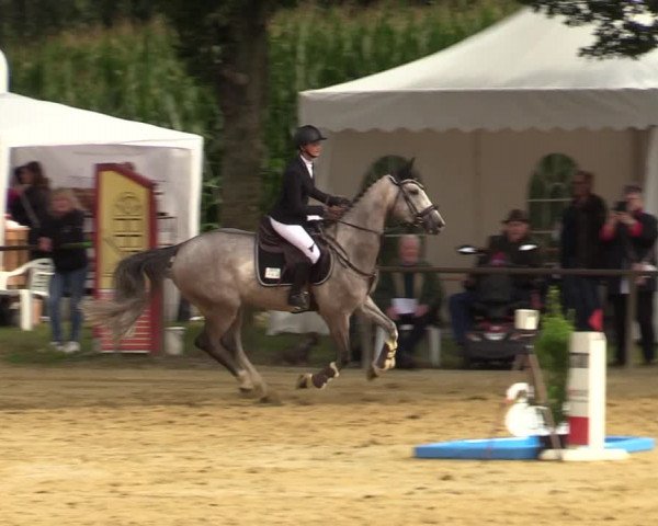 Reitturnier Willich-Anrath-Neersen 2021