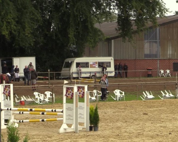 Reitturnier Willich-Anrath-Neersen 2021