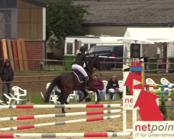 Reitturnier Willich-Anrath-Neersen 2021