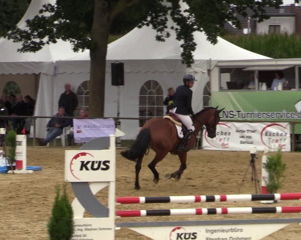 Reitturnier Willich-Anrath-Neersen 2021