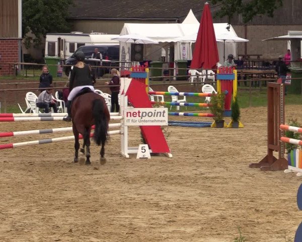 Reitturnier Willich-Anrath-Neersen 2021