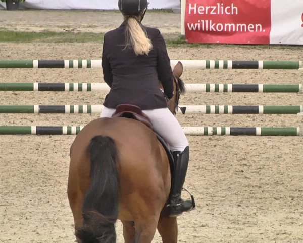 Pferd und Mensch St.Wendel, Gestüt Welvert 2021