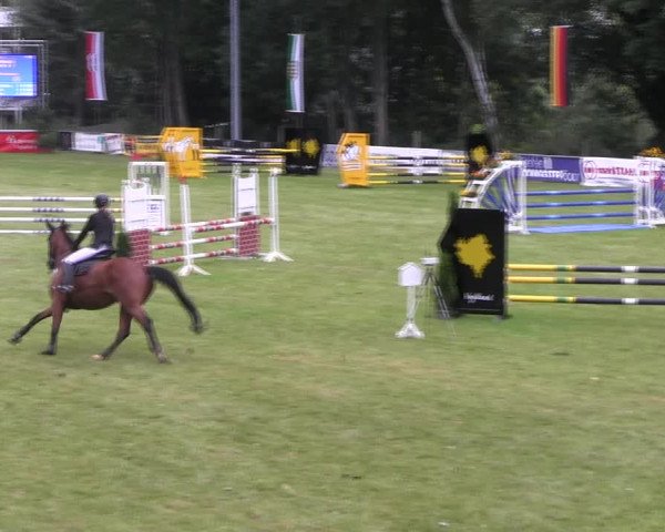 Reitturnier Lengenfeld/Vogtl. 2021