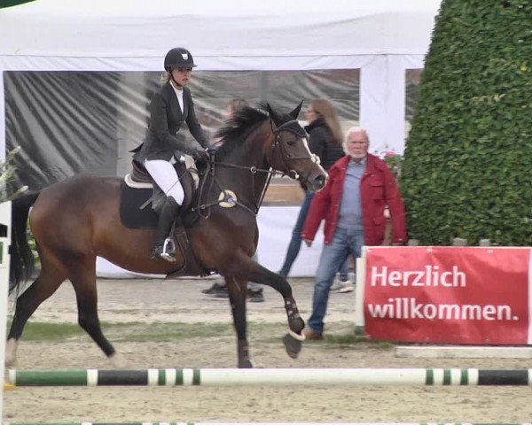Pferd und Mensch St.Wendel, Gestüt Welvert 2021