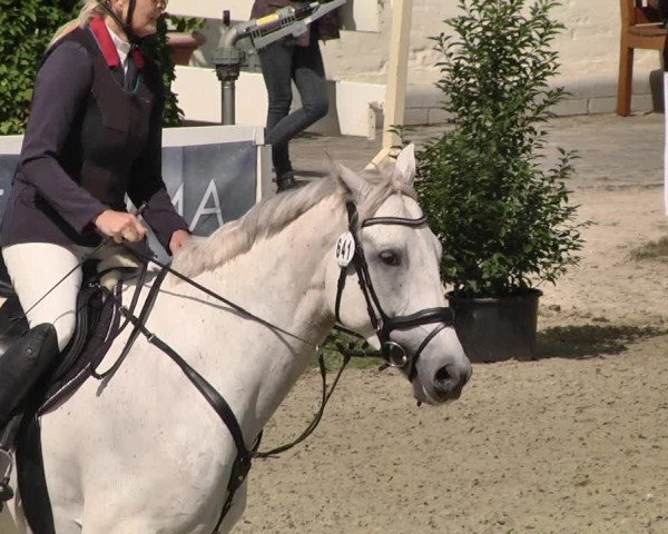 Pferd und Mensch St.Wendel, Gestüt Welvert 2021