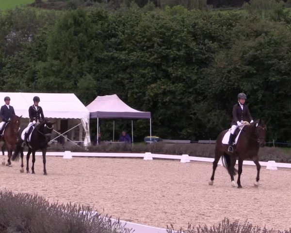 Bergische Dressurtage Lindlar - Reitanlage Dückers 2021
