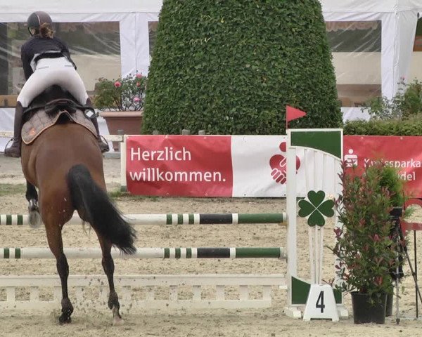 Pferd und Mensch St.Wendel, Gestüt Welvert 2021