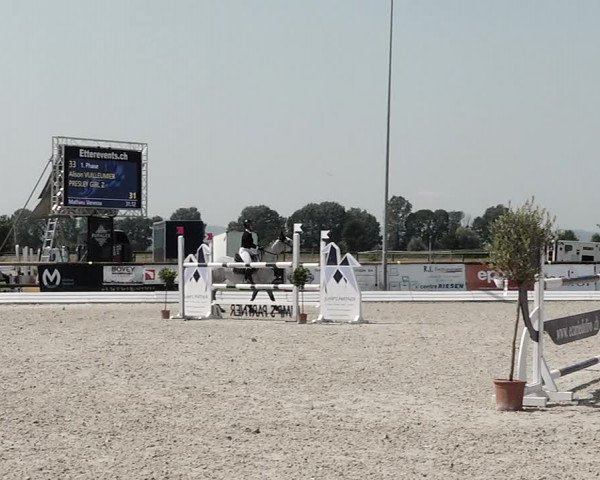 Concours Hippique de Dompierre 2021