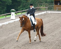dressage horse Lescadero (Hanoverian, 1996, from Le Beau)