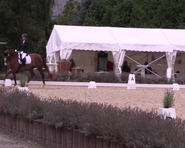 Bergische Dressurtage Lindlar - Reitanlage Dückers 2021