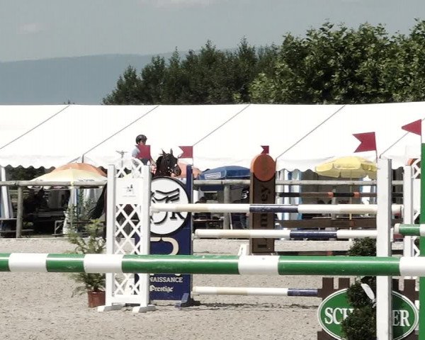 Concours Hippique de Dompierre 2021