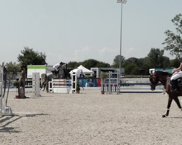 Concours Hippique de Dompierre 2021