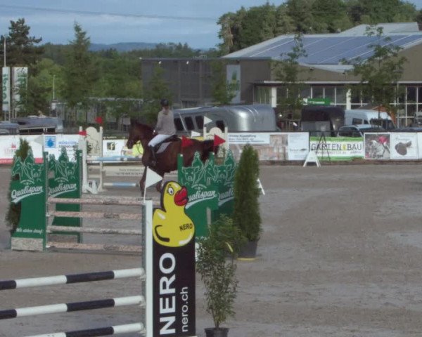 Reitturnier Gossau 2021
