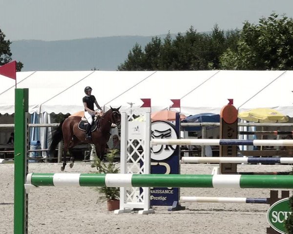 Concours Hippique de Dompierre 2021