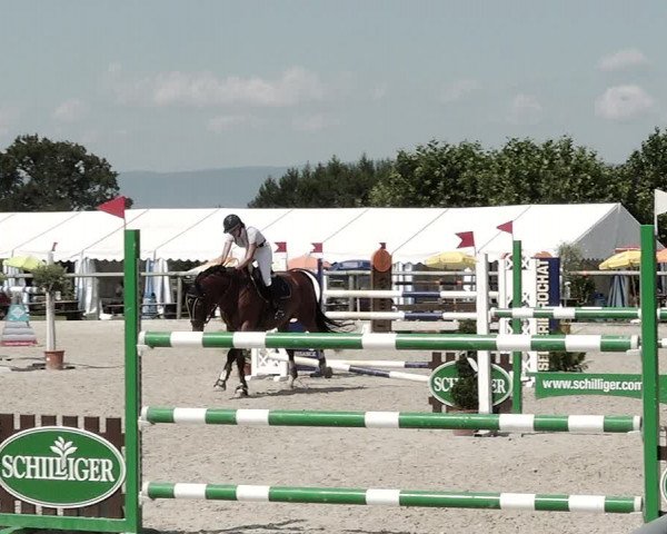 Concours Hippique de Dompierre 2021