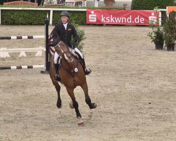 Pferd und Mensch St.Wendel, Gestüt Welvert 2021