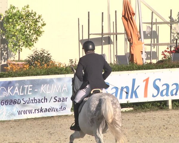 Pferd und Mensch St.Wendel, Gestüt Welvert 2021