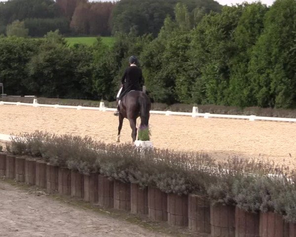 Bergische Dressurtage Lindlar - Reitanlage Dückers 2021