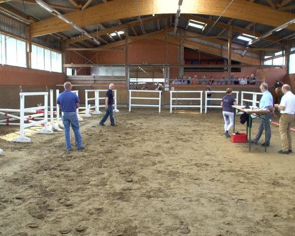 Hannoveraner Zuchtstutenprüfung mit Prämierung in Luhmühlen 2020