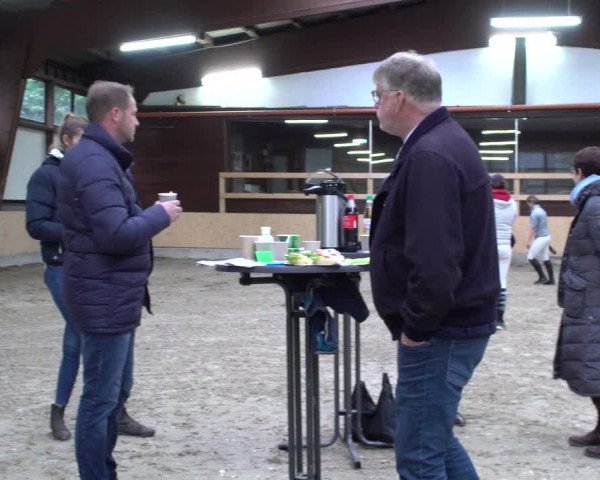 Hannoveraner Zuchtstutenprüfung mit Prämierung in Wickrath 2020
