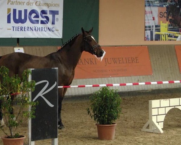 "IWEST" Free Jumping Day - Gut Winkelacker