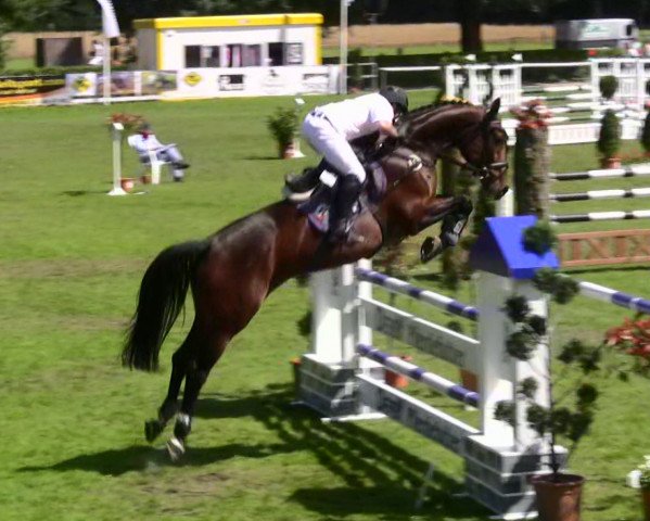 Zuchtstute Lababeluba (Westfale, 2003, von Lanciano)