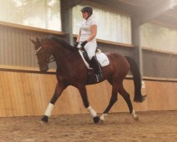 dressage horse Fair Play 148 (Westphalian, 1998, from Faveur)