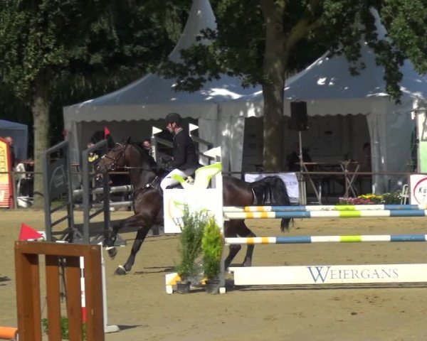 Reitturnier Willich-Anrath-Neersen 2021