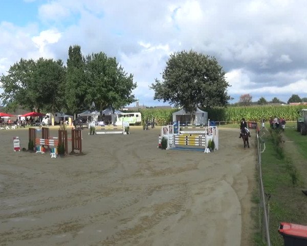 Reitturnier Willich-Anrath-Neersen 2021