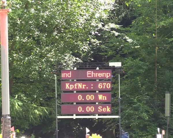 Springturnier Sieversen - Rosengarten 2021