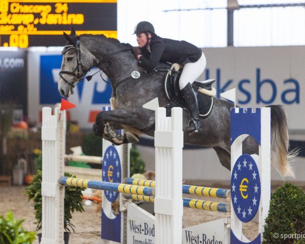 Springpferd Chacomo 34 (Westfale, 2009, von Colbert GTI)