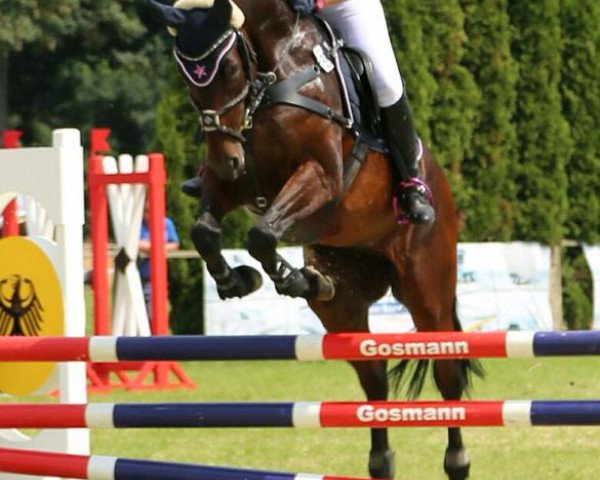 broodmare California Dream R (Westphalian, 2009, from Carell)