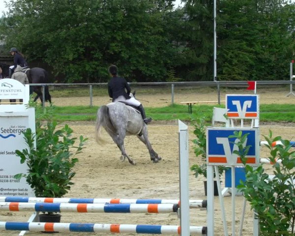 Reitturnier Bühren-Breckerfeld 2021