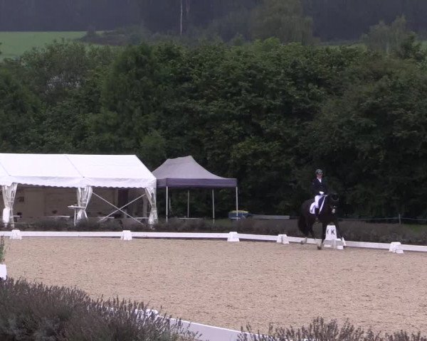 Bergische Dressurtage Lindlar - Reitanlage Dückers 2021