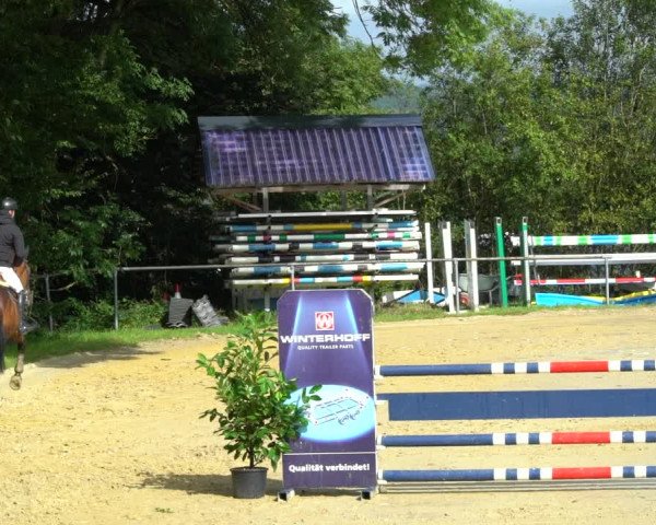 Reitturnier Bühren-Breckerfeld 2021