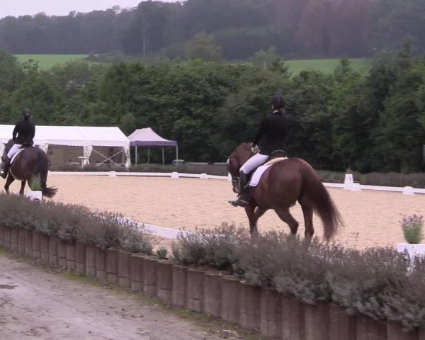 Bergische Dressurtage Lindlar - Reitanlage Dückers 2021