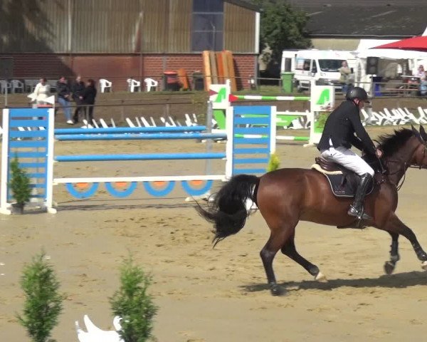 Reitturnier Willich-Anrath-Neersen 2021
