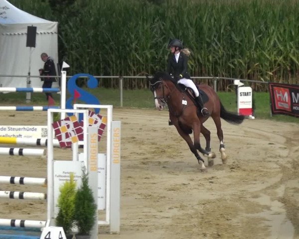 Reitturnier Willich-Anrath-Neersen 2021
