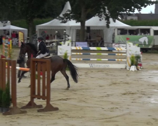 Reitturnier Willich-Anrath-Neersen 2021
