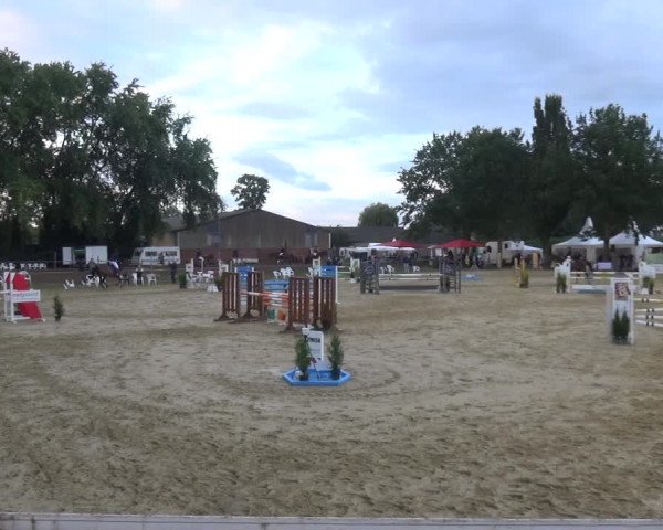 Reitturnier Willich-Anrath-Neersen 2021
