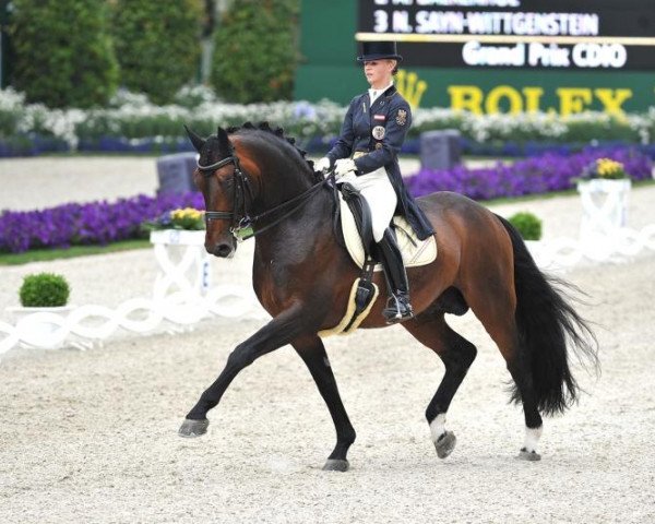 dressage horse Augustin OLD (Oldenburg, 2000, from August der Starke)