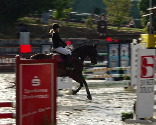 Springturnier Duderstadt 2021