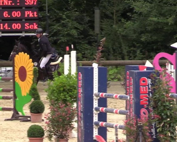 Springturnier Sieversen - Rosengarten 2021