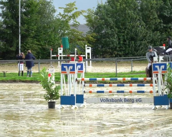Reitturnier Bühren-Breckerfeld 2021