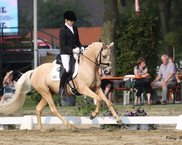 broodmare WES Dondolina (German Riding Pony, 2010, from FS Don't Worry)